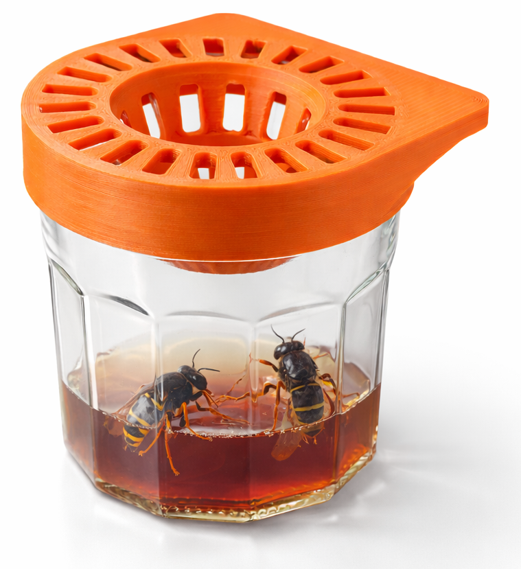 Piège à frelon